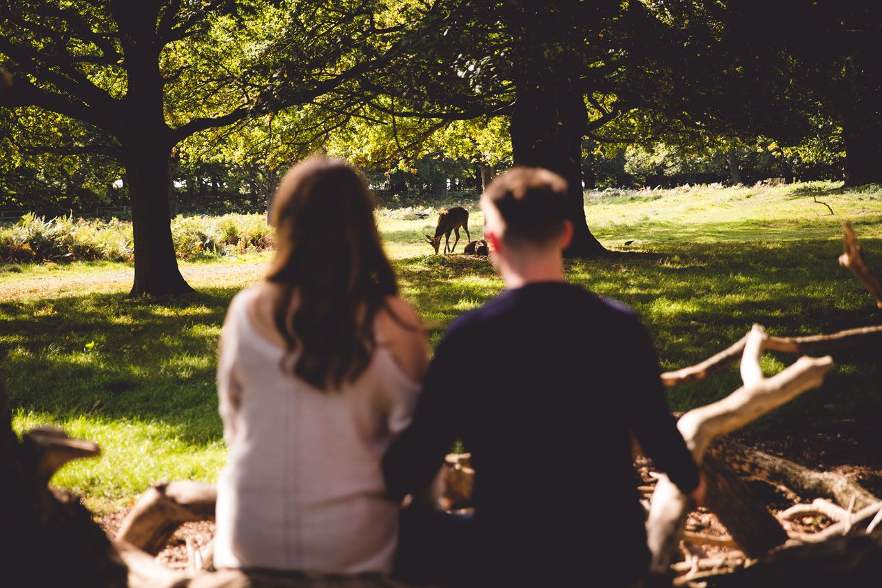 Pembroke Lodge | Liz & Luke